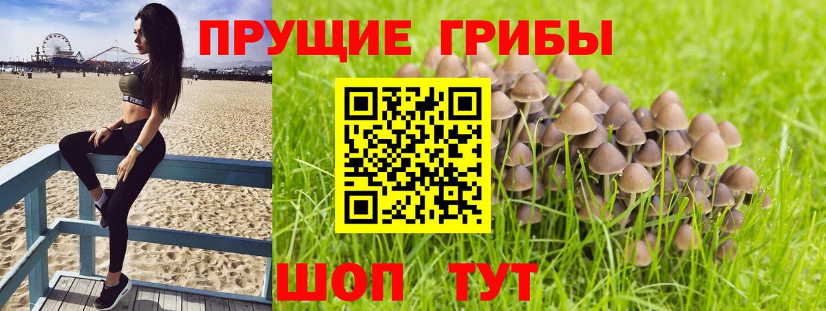 Галлюциногенные грибы мухоморы  Вход с VPN  Миасс  Псилоцибиновые грибы ЛСД 